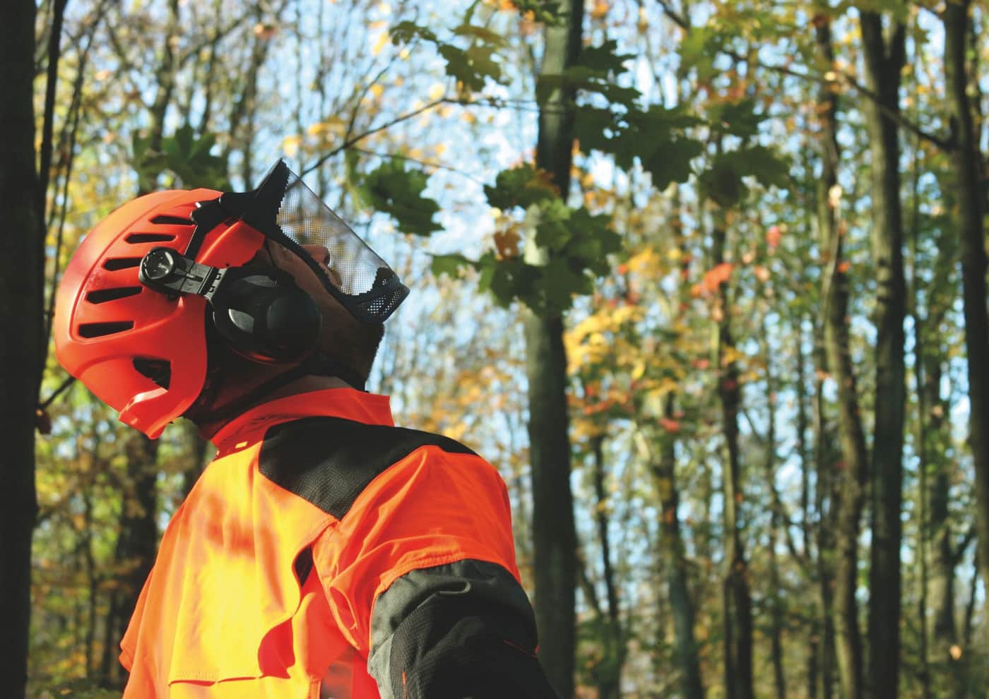 Incendies 2026 : la forêt française face à un changement d’échelle