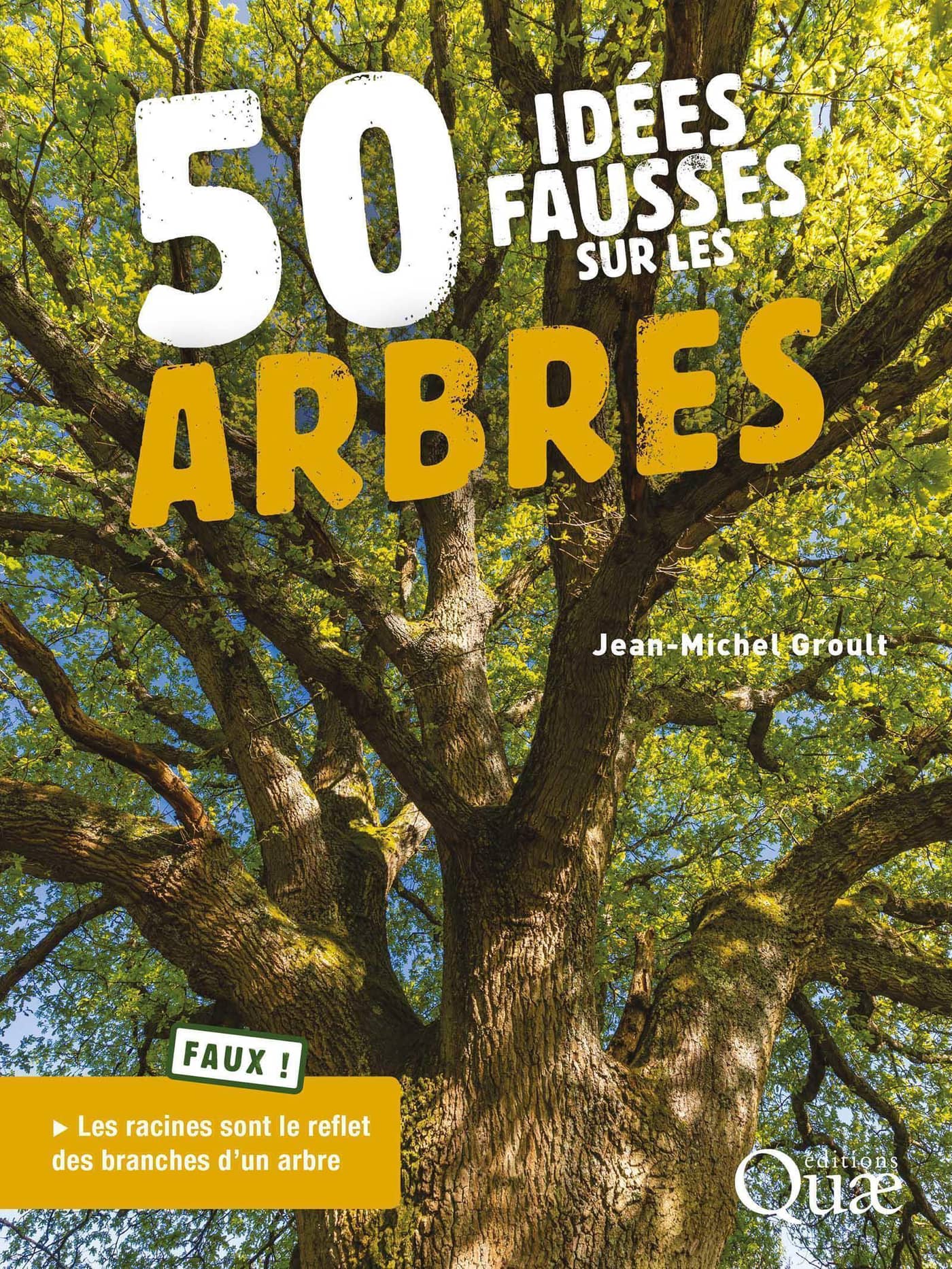 50 idées fausses sur les arbres 
