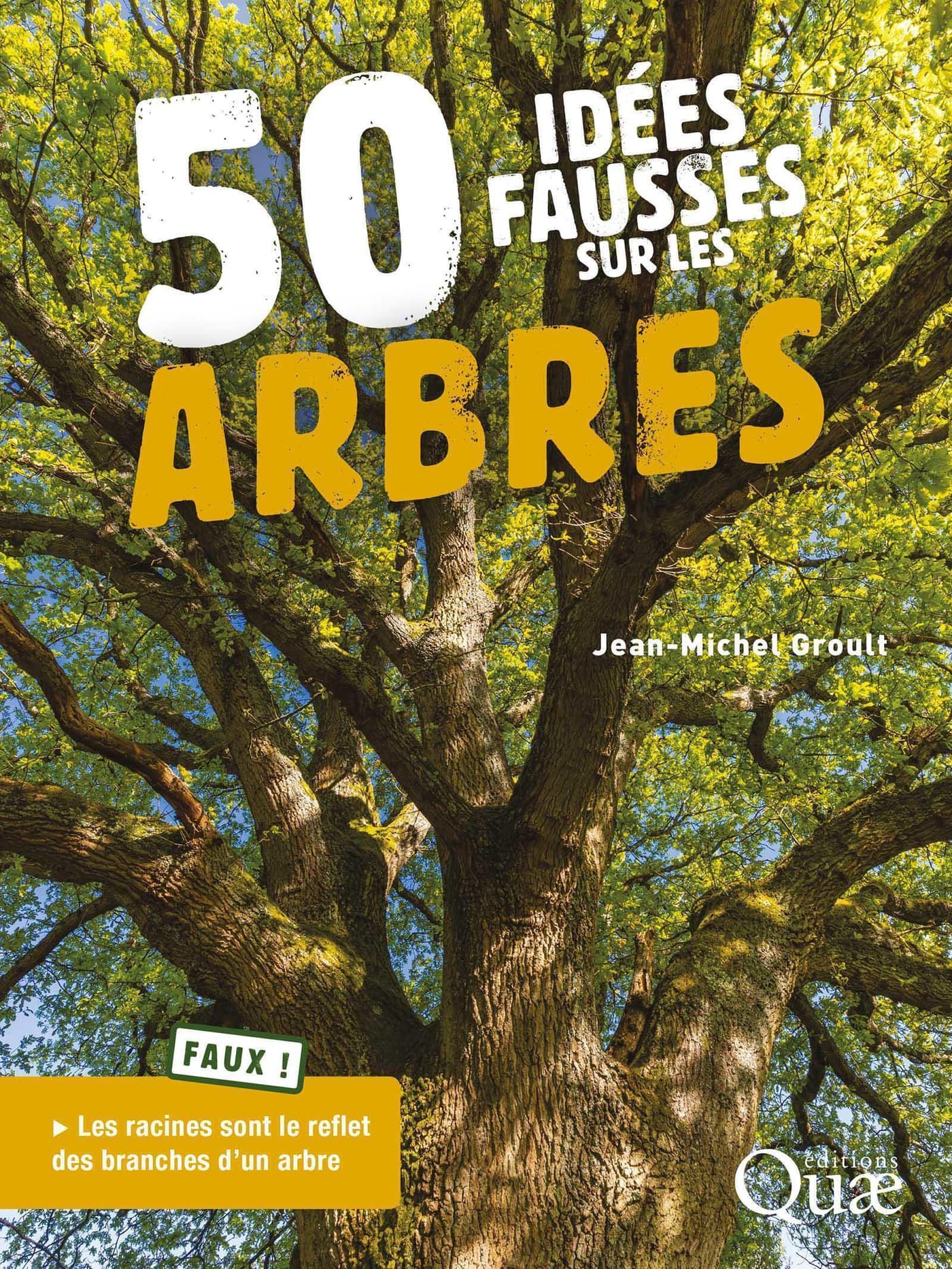 50 idées fausses sur les arbres 