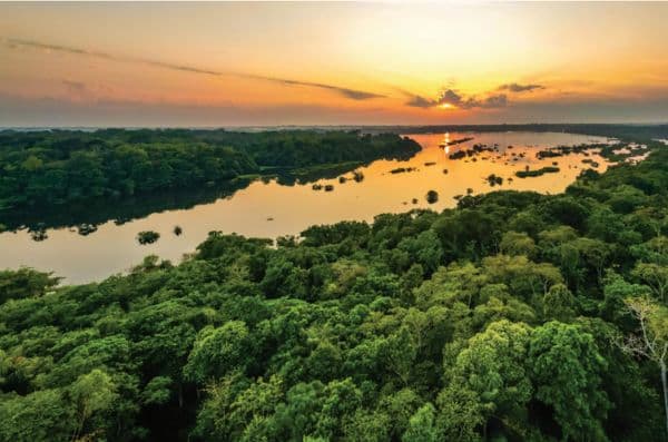 Avec le TFFF, le Brésil parie sur l’investissement collectif pour préserver les forêts tropicales