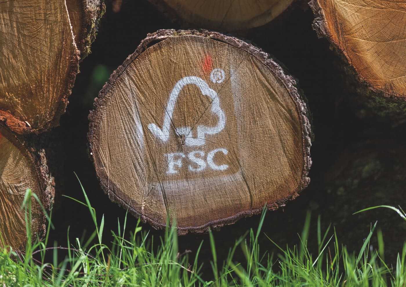 FSC France L’intérêt pour la certification des produits bois reste vif
