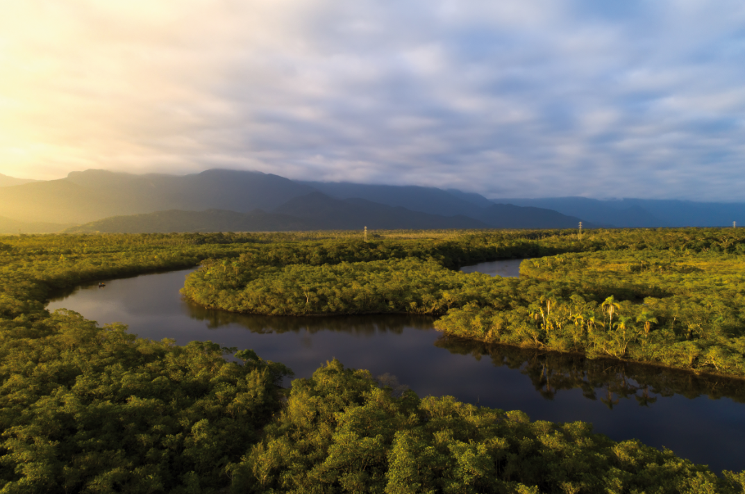 Au Brésil, l’Amazonie se gère avec des concessions